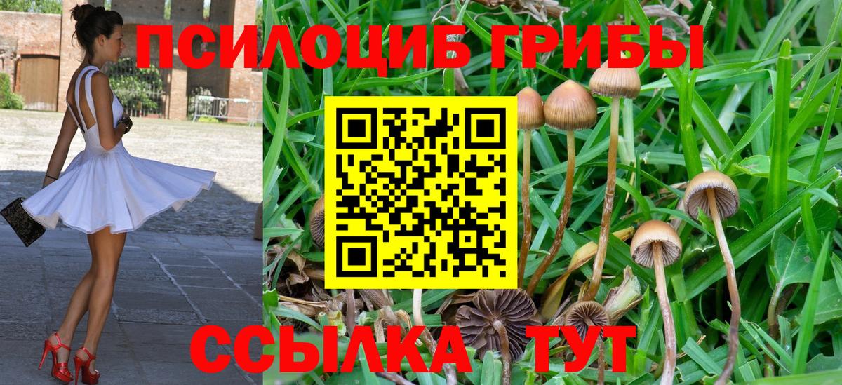 Владикавказ  Псилоцибиновые грибы ЛСД  Вход с VPN 